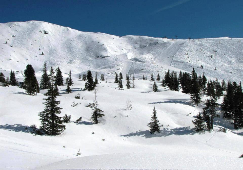 Landgut Hotel Plannerhof Planneralm ภายนอก รูปภาพ