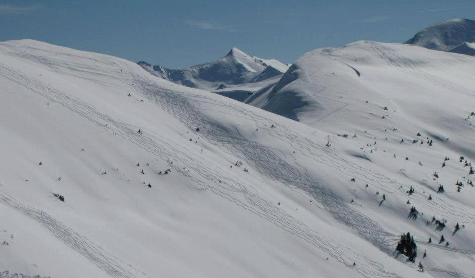 Landgut Hotel Plannerhof Planneralm ภายนอก รูปภาพ