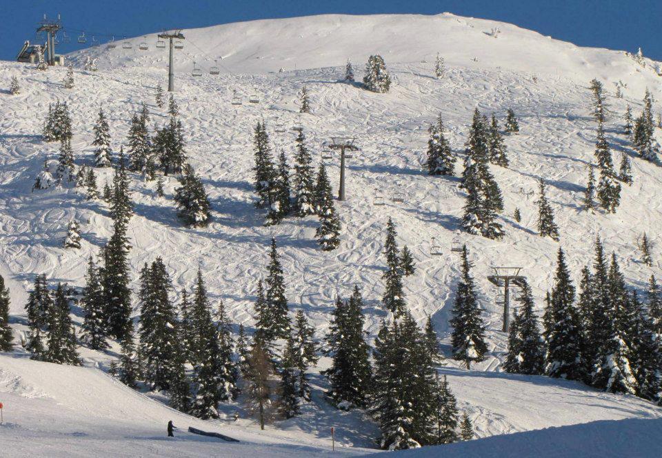Landgut Hotel Plannerhof Planneralm ภายนอก รูปภาพ